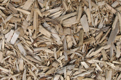 biomass boilers Snatchwood